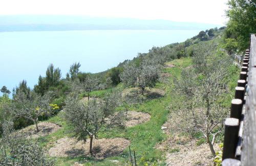 Charismatic Garden Cottage with Sea View - Foto 29