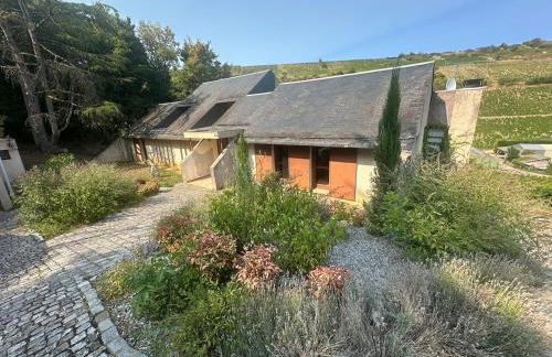 Villa au cœur des vignes de Chavignol - Foto 6