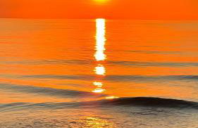 nagelneue Fewo mit Waldblick 10min zur See Igelring21og - Foto 24