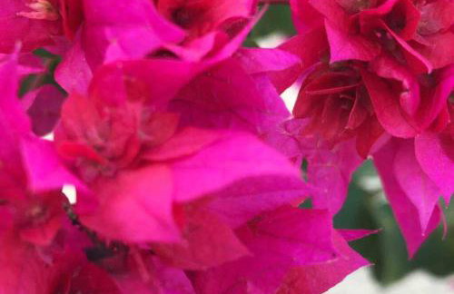 CASA SURYA, Piscina Fantástica, Churrasqueira, Completa, 18 HÓSPEDES na REGIÃO DOS LAGOS - Casa de Campo - Foto 26