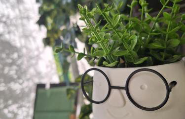 Apartman Lily - Photo 45