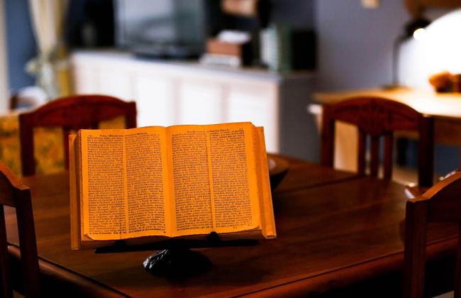 Suitur beachfront duplex with pool and sea views - Photo 40