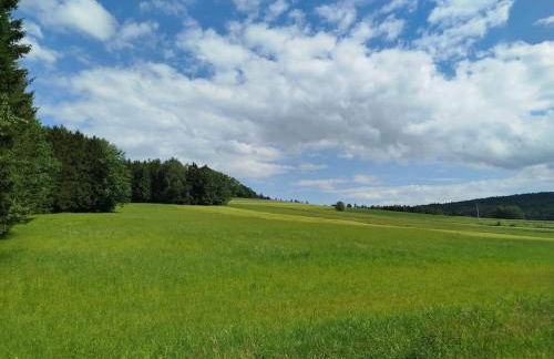 Altes Otto Haus - Foto 71