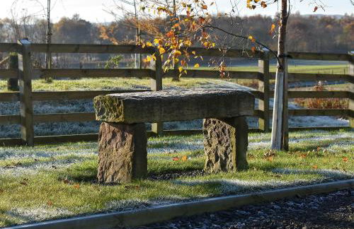 Petronella - Foto 23