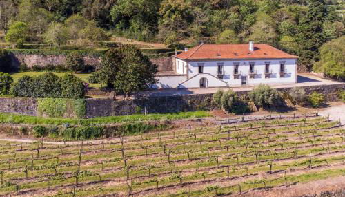 Casa de Vilela - casa senhorial exclusiva perto do Porto para até 15 pessoas - Foto 2