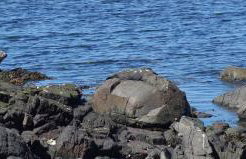 3 Knocknaha Cottage - Foto 27