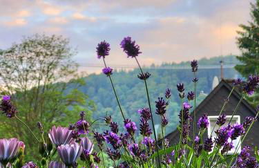 Ferienwohnungen Tannenhof - Foto 4