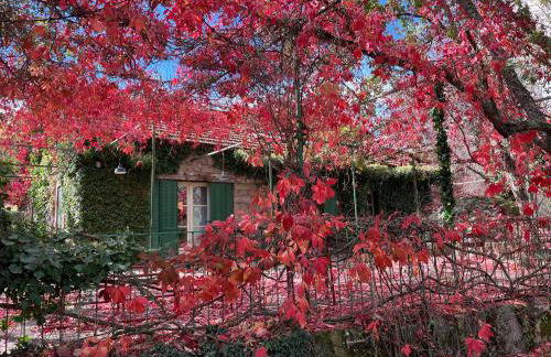 Finca La Machota Centro de Naturaleza - Foto 9