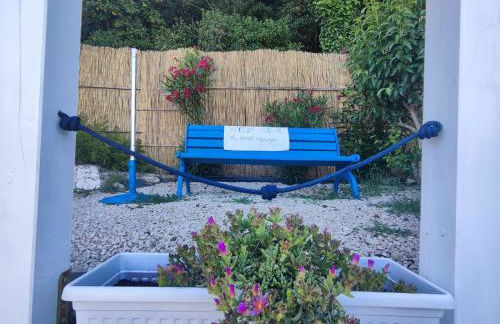 Pino Marino - Foto 29