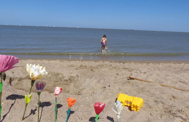Cosy Apartment Directly on the Beach in Knokke - Foto 29