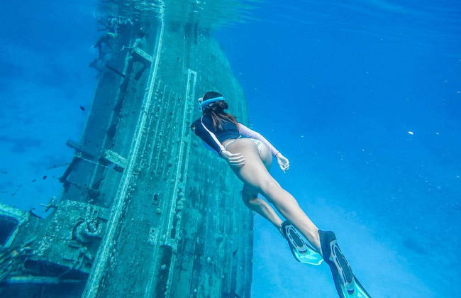 Snorkel con tiburones + Barco hundido - Foto 2