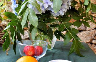 Casa do Caseiro A Costa da Morte - Foto 36