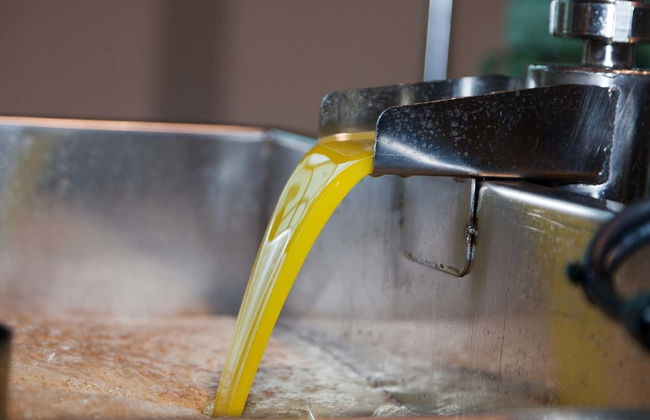 Visita a la finca Pago de La Jaraba - Foto 7