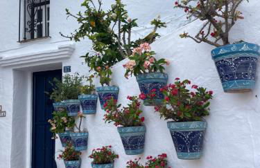 Buena Vista Apartment, 3 bedrooms - Foto 54