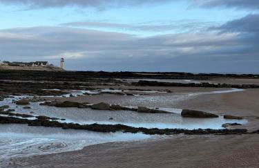 Paws a while - Foto 27