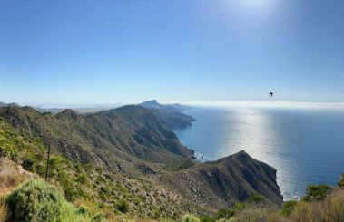 Antilia Terraces Colibri Apartment - 5710 - Foto 78