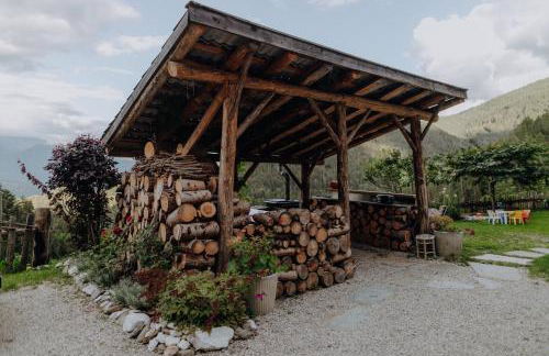 Natur Apartments Riesen - Photo 65