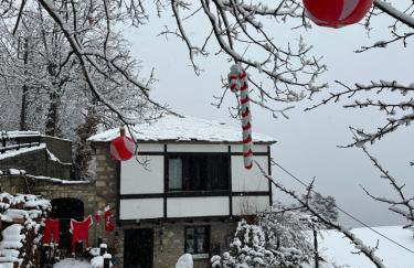 ΤΟ ΑΡΧΟΝΤΙΚΟ - Photo 17