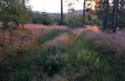 17 AM BERG - Foto 59