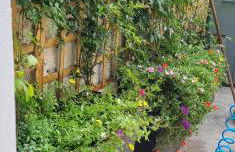 Apartamentos Les Texuques - Foto 36