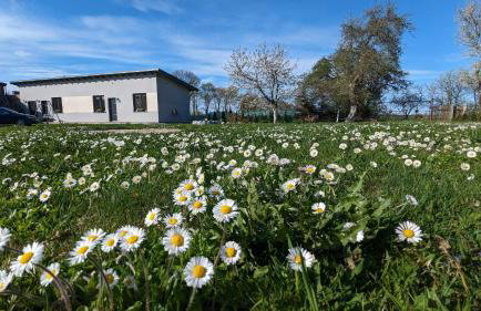 Apartament Domowe Zacisze 1 - Foto 26