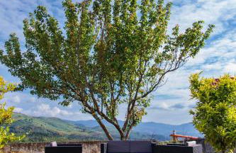 Casa Belavista no Geres by In'Canto Property Management - Foto 37