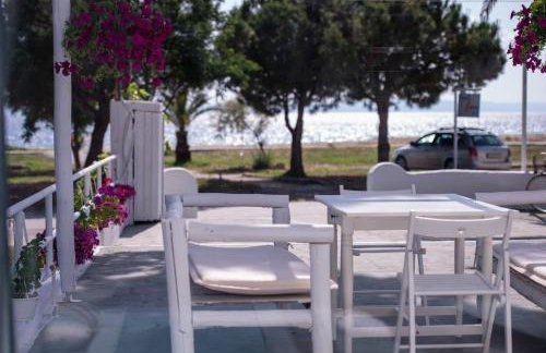 Acapus Studios - Foto 22