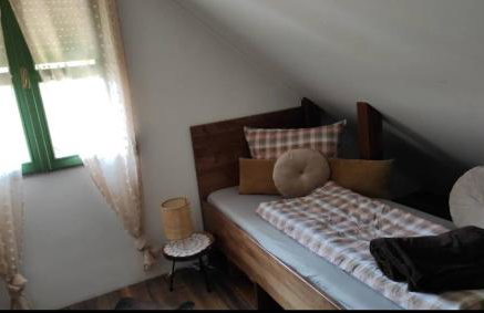 Kuća za odmor Bakina Divljaka - Foto 43