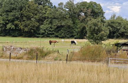 La Hasienda - Foto 28