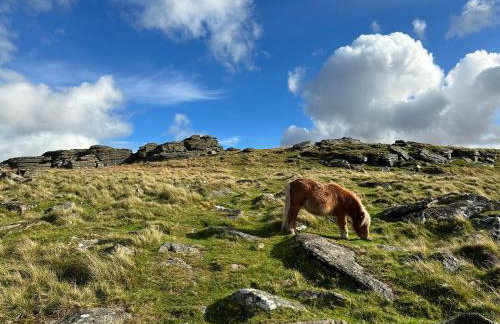 Sandpipers Cottage - Devon Sleeps 4, Garden, rural, Dog friendly - Photo 11