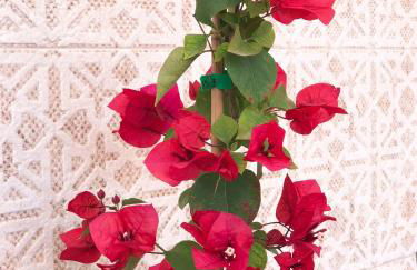 La Tierra Sur apartment Malaga Center - Photo 54