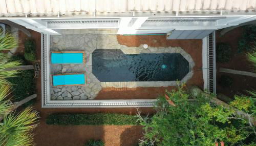 Shore Blessed - Foto 3