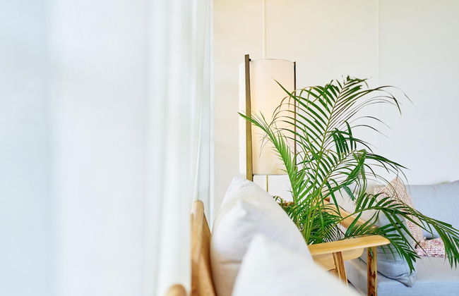 Rio Royale - Foto 27