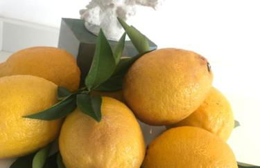 S'O Suites Tropea - Foto 47