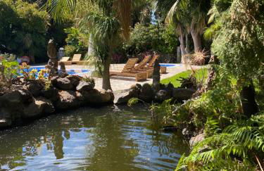 Taburiente - Foto 17