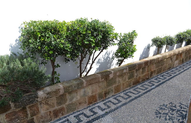 CasaLindos Festa - Foto 18