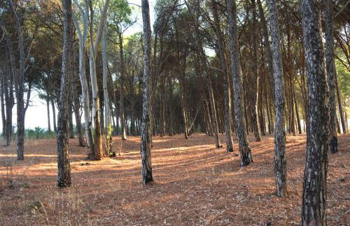 Oasi del Governatore - Foto 14