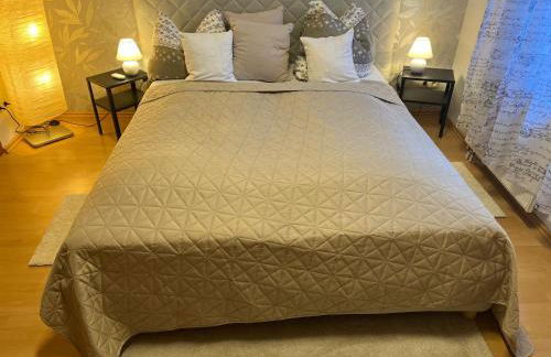 Delux Ferienwohnung Kunstgalerie und Ilmradweg - Photo 41