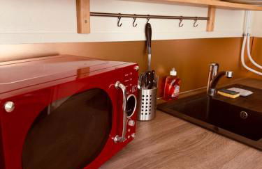 T2 Tout confort TV 55' avec canal séries netflix Disney Dazen Bein sport apple TV OCS paramount prime vidéo - Foto 25