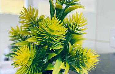 Lofts Primavera Centro Histórico Paraty - Foto 63