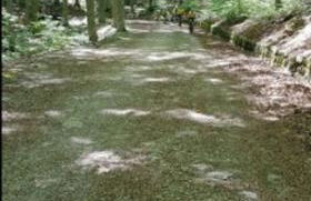 Appartamento Monolocale La mia Casina di Montagna - Foto 23