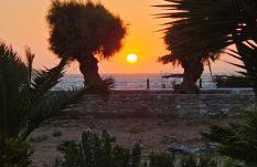 Amorgos Pearls - Foto 57