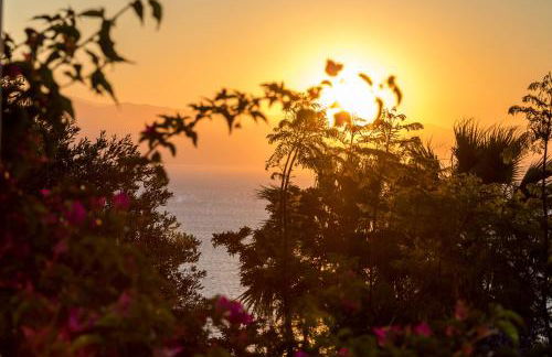 Ionian Garden Villas - Villa Sol - Foto 16