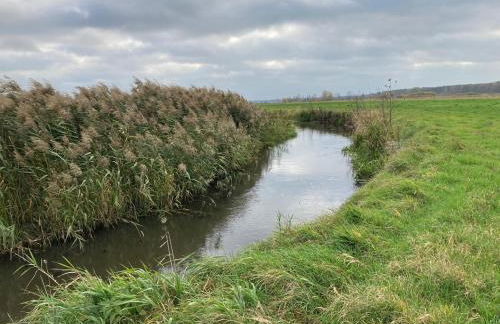 LANDHAUS LAAVE FERIENWOHNUNG - Foto 17