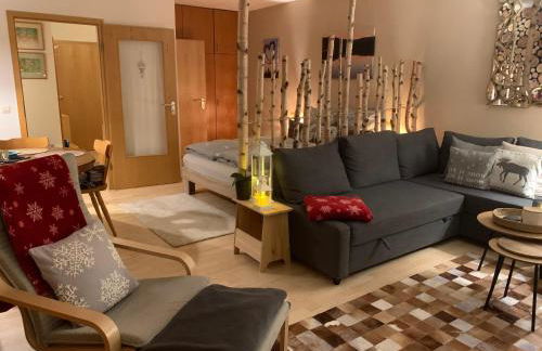 Studio Hase Saig - Photo 2