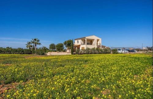 Villa Torre Marina - Photo 10