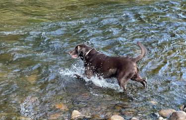 5R Cozy log chalet in fantastic location. Ski, snowshoe, fish, explore! AC, pet friendly! - Photo 51