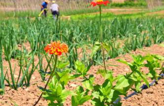 Terra di Ea - Foto 73