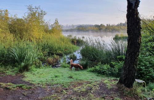 Haus Gutland - Foto 29