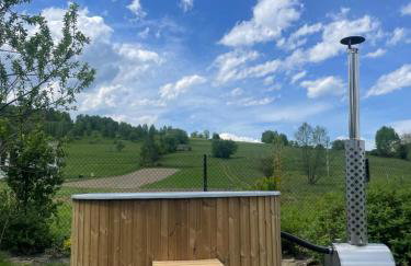 Dudkowe Domki w Beskidach- Relaks z Balią i Apiterapią - Foto 23